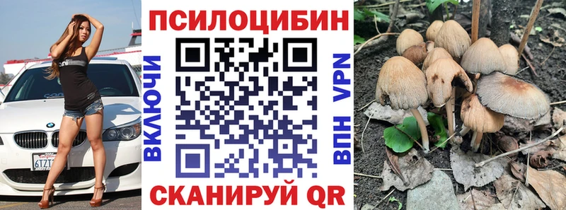 Купить закладки  Волоколамск  Галлюциногенные грибы мицелий 